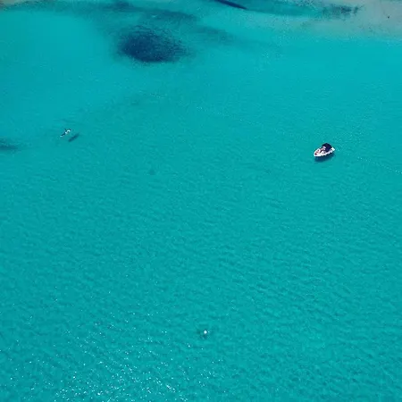 Sakarun - Ena فيلي رات