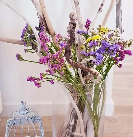 Sakarun - Ena بيت للعطل