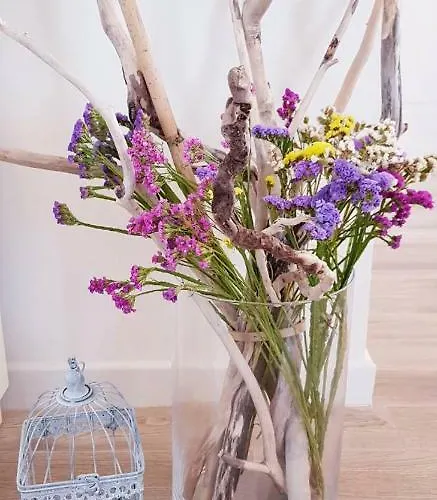 Sakarun - Ena Ferienhaus