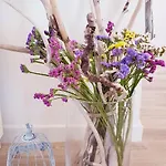 Sakarun - Ena Casa vacanze