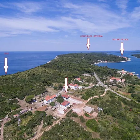 Sakarun - Ena * Veli Rat