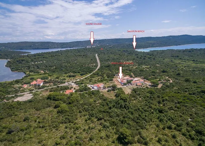 Sakarun - Ena * Veli Rat