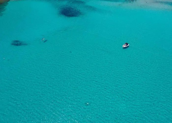 Sakarun - Ena Veli Rat