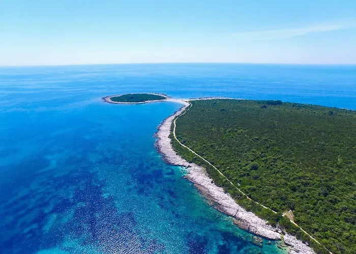 Sakarun - Ena * Veli Rat